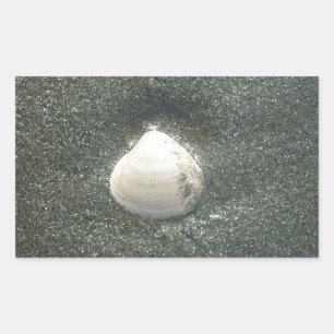 Mooie zeeschelp in het zand: een zout souvenir rechthoekige sticker