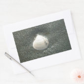 Mooie zeeschelp in het zand: een zout souvenir rechthoekige sticker (Envelop)