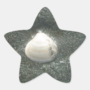 Mooie zeeschelp in het zand: een zout souvenir ster sticker
