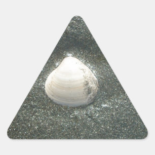 Mooie zeeschelp in het zand: een zout souvenir sticker