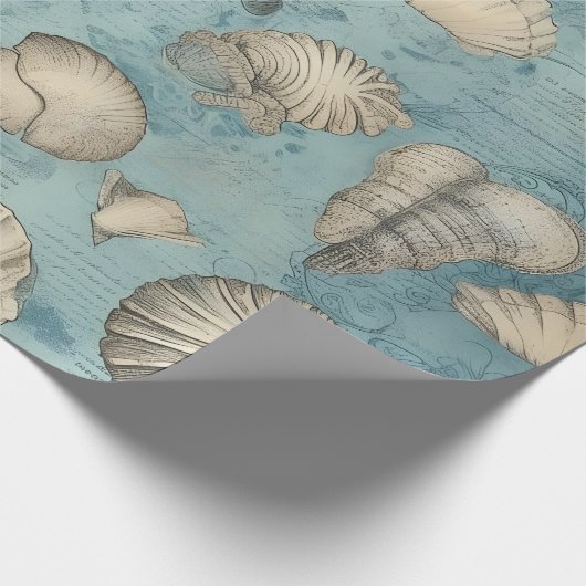 Mooie  zeeschelpen in blauw cadeaupapier (Hoek)
