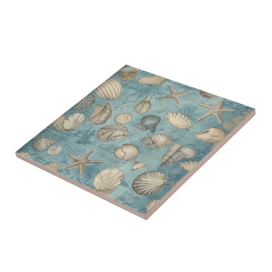 Mooie  zeeschelpen in blauw tegeltje (Zijkant)