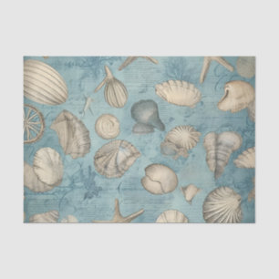 Mooie zeeschelpen in blauw tissuepapier