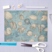 Mooie  zeeschelpen in blauw tissuepapier (Craft)