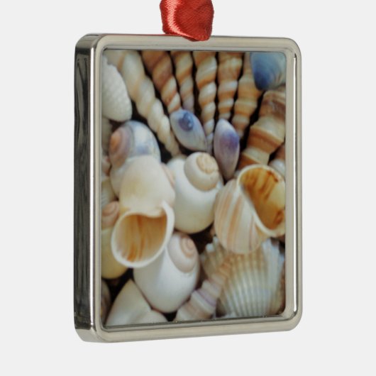 Mooie zeeschelpen, zomer, strand, schelpen metalen ornament (Rechts)