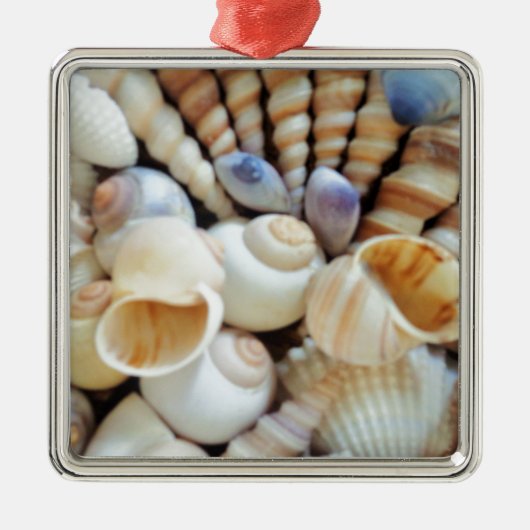 Mooie zeeschelpen, zomer, strand, schelpen metalen ornament (Voorkant)