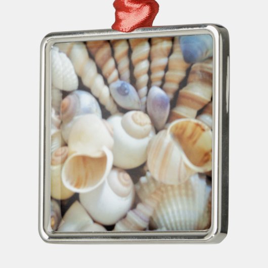 Mooie zeeschelpen, zomer, strand, schelpen metalen ornament (Links)