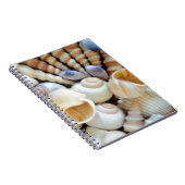 Mooie zeeschelpen, zomer, strand, schelpen notitieboek (Rechterzijde)