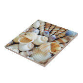Mooie zeeschelpen, zomer, strand, schelpen tegeltje (Zijkant)