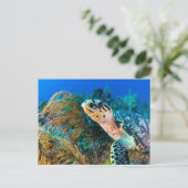 Mooie zeeschildpad en zeeleven  briefkaart (Staand voorkant)