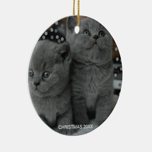 Mooie, zilvergrijze katjes en bewerkbare tekst keramisch ornament (Rechts)