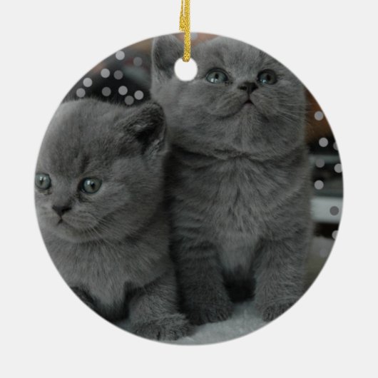 Mooie, zilvergrijze katjes en bewerkbare tekst keramisch ornament (Achterkant)