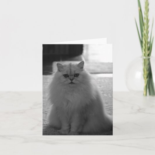 Mooie zitten kaart (Voorkant)