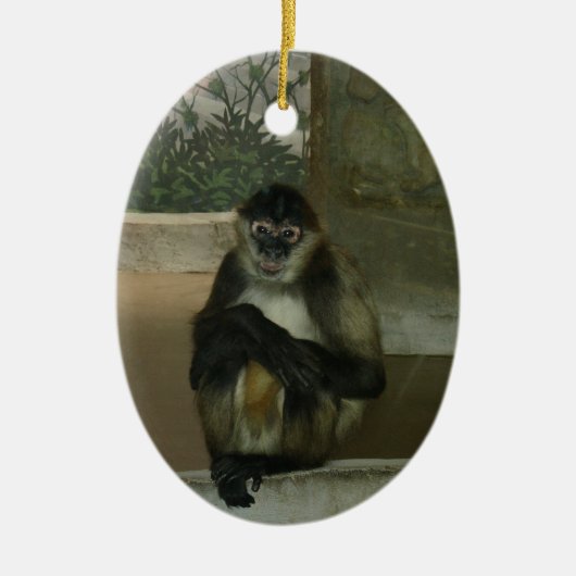 Mooie zittende aap keramisch ornament (Voorkant)