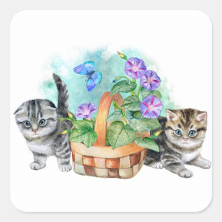 Mooie Zoete kittens Vierkante Sticker