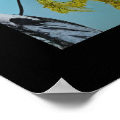 Mooie zomer Birch Poster (Hoek)