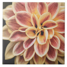 Mooie zomer-Dahlia-bloem ( Florale kunst) Tegeltje