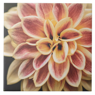 Mooie zomer-Dahlia-bloem ( Florale kunst) Tegeltje