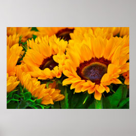 Mooie Zomer Zonnewiefje Schilderij Poster