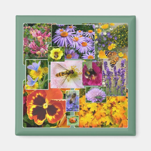 Mooie zomerbloemen en insecten Collage Magneet (Voorkant)