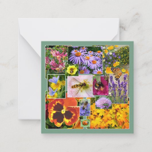 Mooie zomerbloemen en insecten Collage Notitiekaartje (Voorkant)