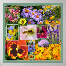 Mooie zomerbloemen en insecten Collage Poster