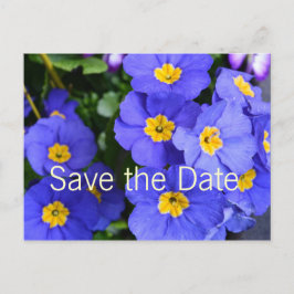 mooie zomerbloemen voor de blauwe tuin , met uitzo aankondigingskaart