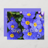 mooie zomerbloemen voor de blauwe tuin , met uitzo aankondigingskaart (Voorkant / Achterkant)