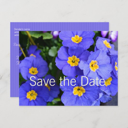 mooie zomerbloemen voor de blauwe tuin , met uitzo aankondigingskaart (Voorkant / Achterkant)