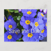 mooie zomerbloemen voor de blauwe tuin , met uitzo aankondigingskaart (Voorkant)