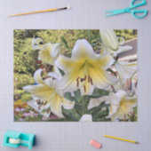 Mooie zomerlelie tissuepapier (Craft)