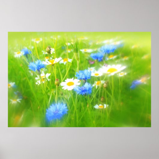 Mooie zomerweide poster (Voorkant)