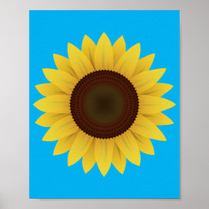 Mooie zomerzonnebloem Poster