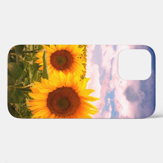 Mooie zomerzonnebloemen  Case-Mate iPhone case (Achterkant (horizontaal))