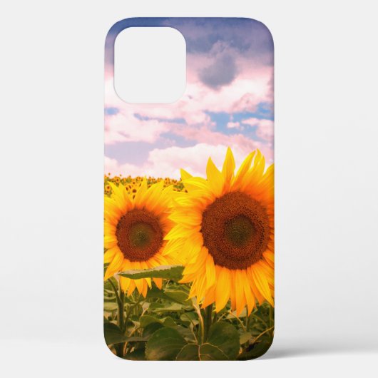 Mooie zomerzonnebloemen  Case-Mate iPhone case (Achterkant)