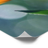 Mooie zonlichtgele marigolfbloem poster (Hoek)