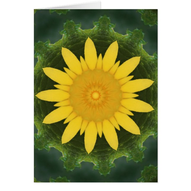 Mooie zonnebloem (Voorkant)