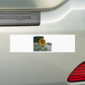 Mooie zonnebloem bumpersticker (Op auto)
