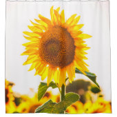 Mooie zonnebloem douchegordijn (Voorkant)