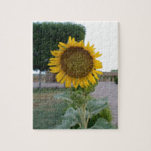 Mooie zonnebloem legpuzzel