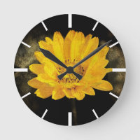 Mooie Zonnebloem met Donkere Bruine Achtergrond