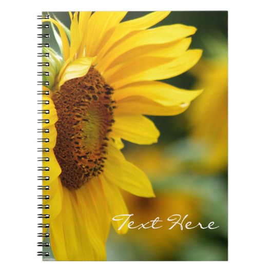 Mooie zonnebloem notitieboek (Voorkant)
