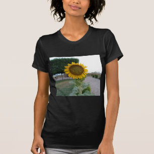 Mooie zonnebloem t-shirt