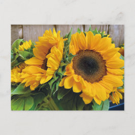 Mooie Zonnebloemen Briefkaart