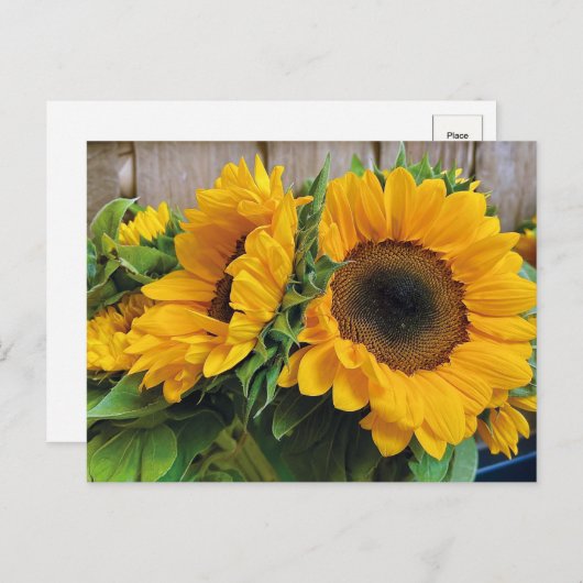 Mooie Zonnebloemen Briefkaart (Voorkant / Achterkant)