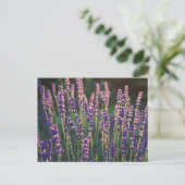 Mooie zonnebloemen briefkaart (Staand voorkant)