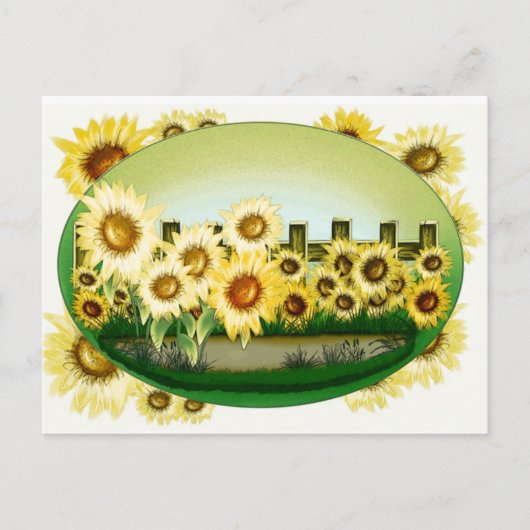 Mooie Zonnebloemen Briefkaart (Voorkant)