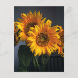 Mooie Zonnebloemen in Vase Briefkaart