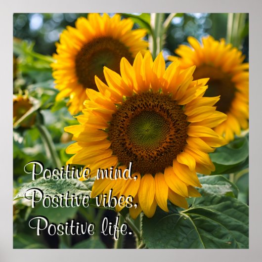 Mooie Zonnebloemen onder de zon Gepersonaliseerd Poster (Voorkant)