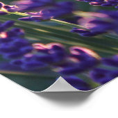 Mooie zonnebloemen poster (Hoek)